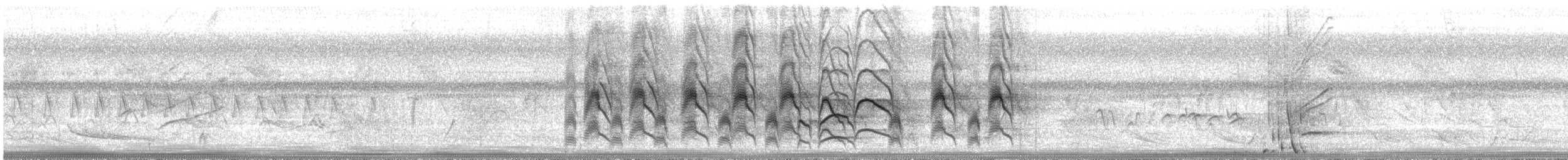 Great Kiskadee - ML648901362