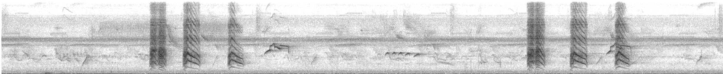 Yellow-rumped Cacique - ML648901415