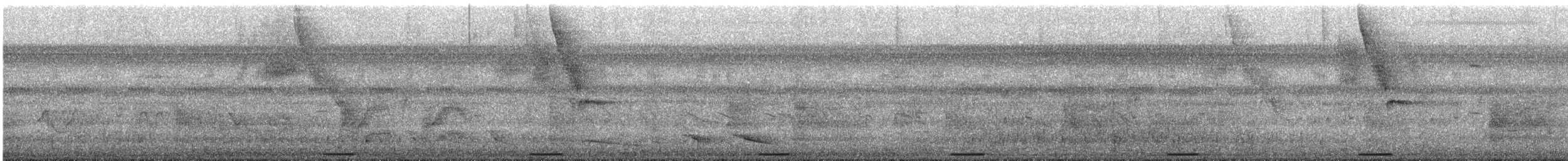 Blue Ground Dove - ML648901436