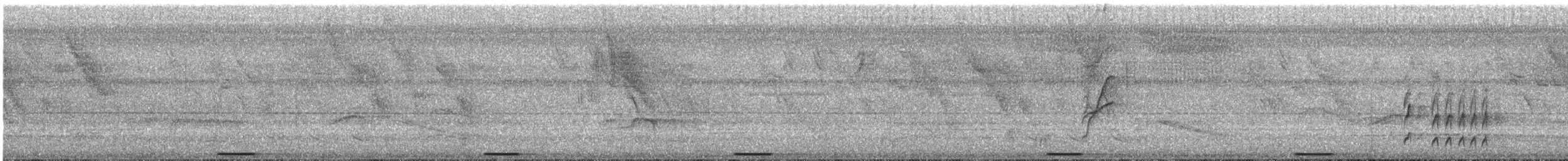 Blue Ground Dove - ML648901555