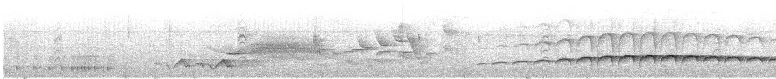 Длиннохвостая батара - ML648903263