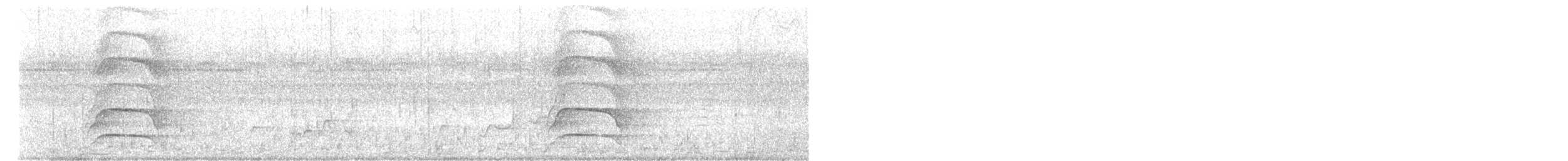 Purpurbreitrachen - ML648903459