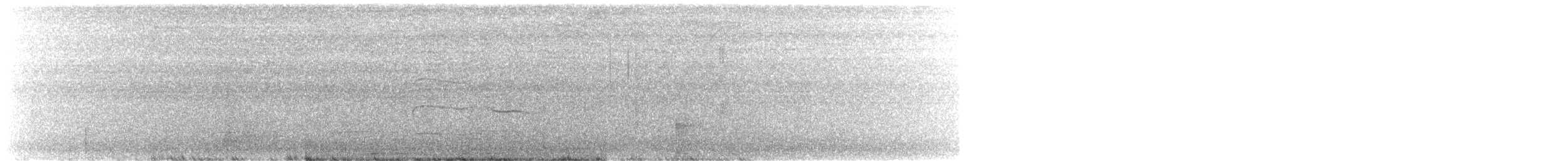 Short-tailed Hawk - ML648904313