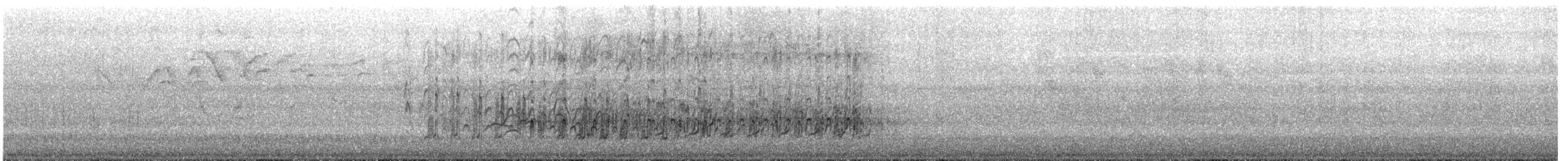 Pied Plover - ML648906171