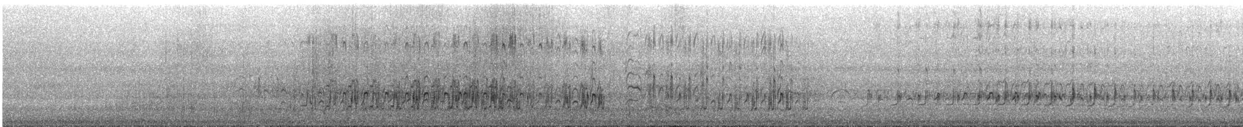 Pied Plover - ML648906172