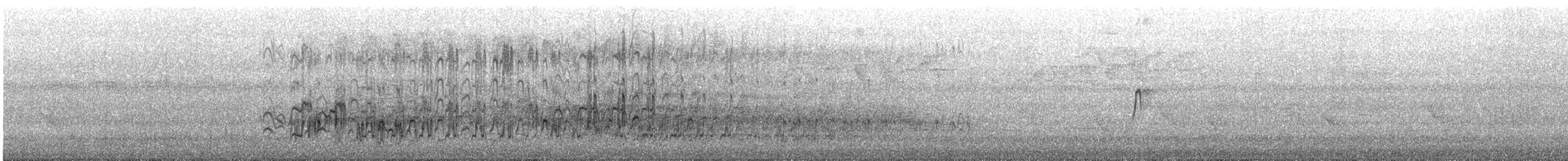 Pied Plover - ML648906173