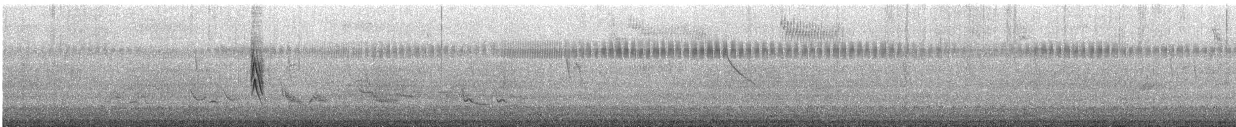 Chestnut-bellied Seedeater - ML648906197