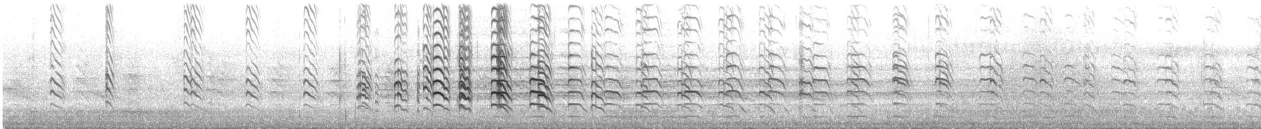 Southern Lapwing - ML648906277