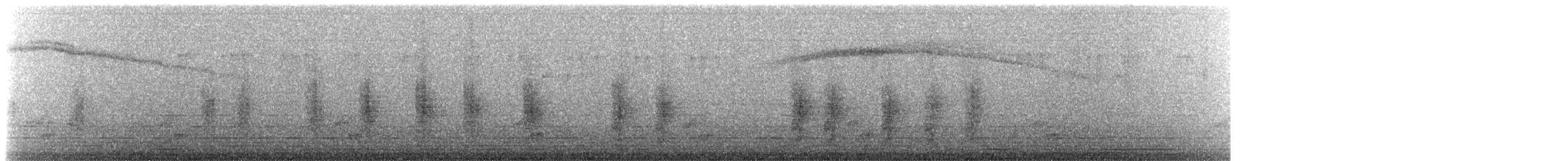 Northern House Wren (Northern) - ML648906584