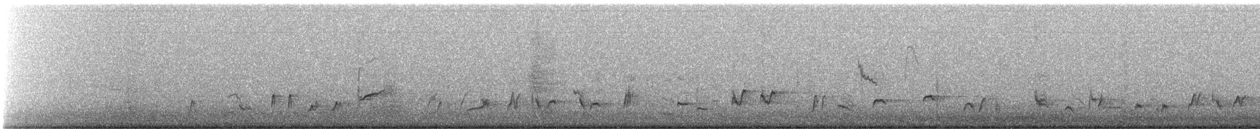 Curve-billed Thrasher (palmeri Group) - ML648906774