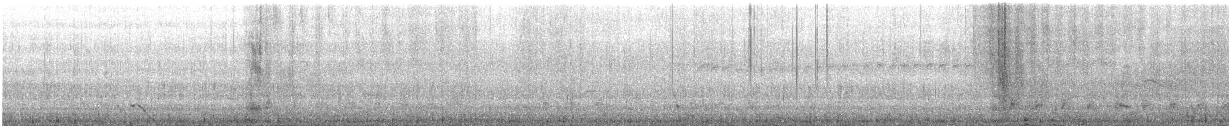 Black Vulture - ML648907111