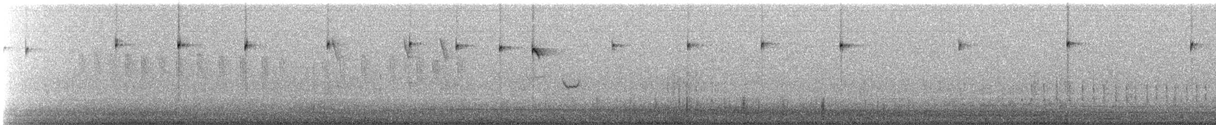 Black-throated Sparrow - ML648907142