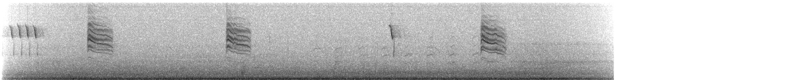 Blue-gray Gnatcatcher (Western) - ML648907239