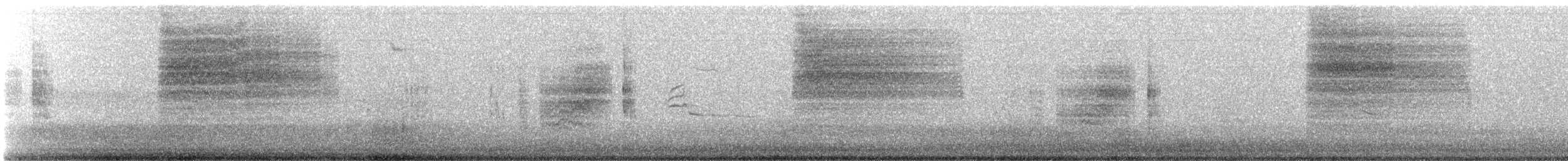 Black-tailed Gnatcatcher - ML648907693