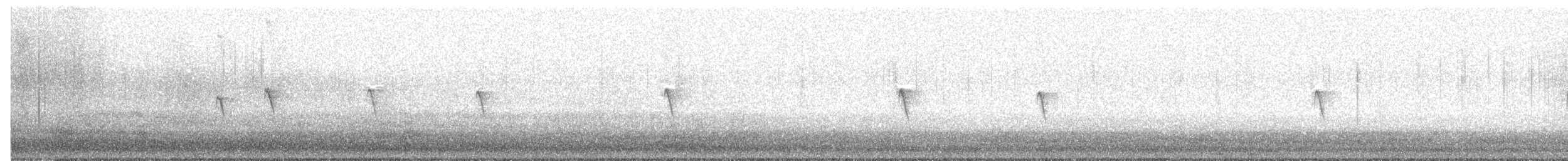 Black Phoebe - ML648908672