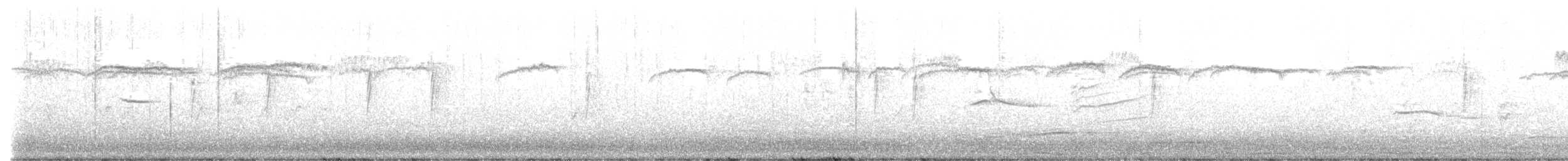 brkoslav americký - ML648911160