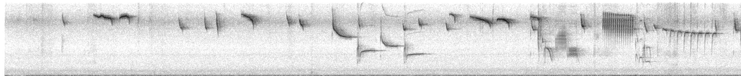 Каролинская гаичка - ML648911521