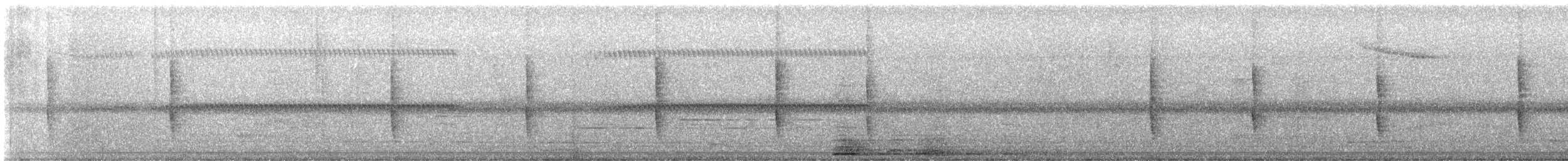 kentuckyparula - ML648919648