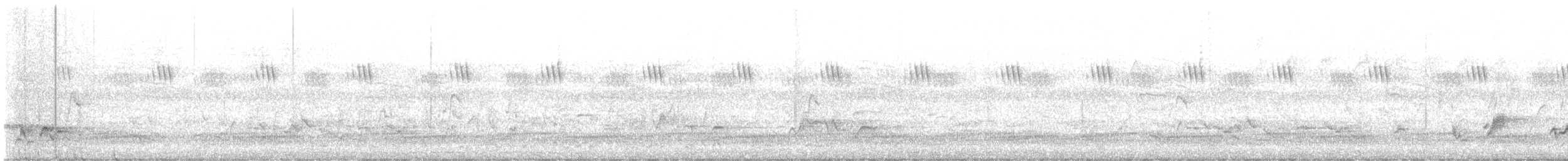 Tropical Boubou - ML648924437