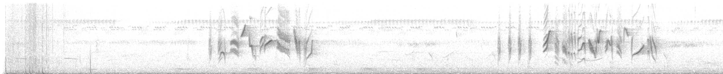 Village Indigobird - ML648927927