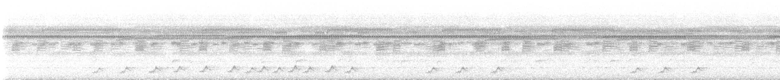 Puerto Rican Nightjar - ML648929590