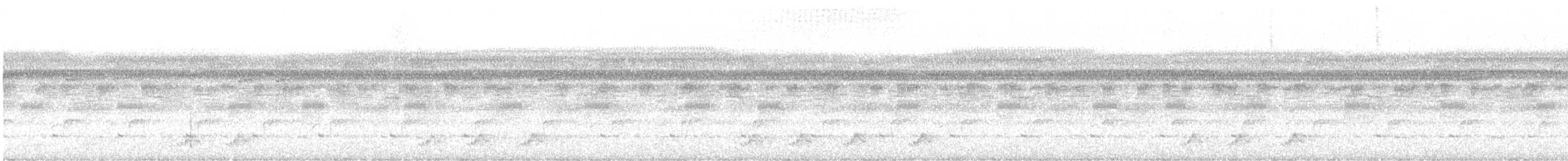 Puerto Rican Nightjar - ML648929591