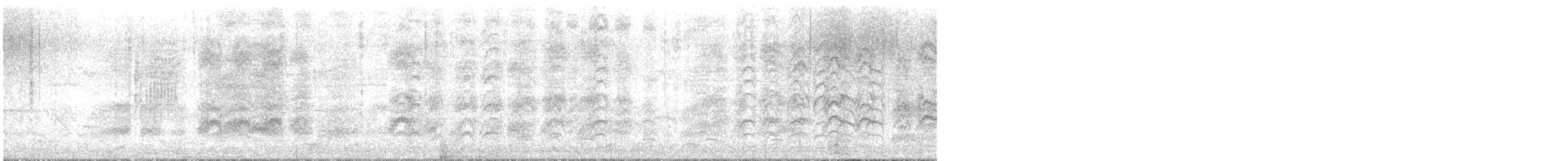 Large Gray Babbler - ML648931591