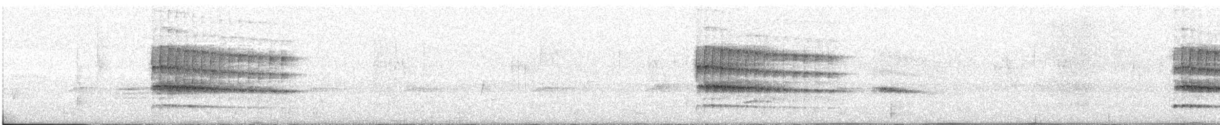 White-naped Woodpecker - ML648932235