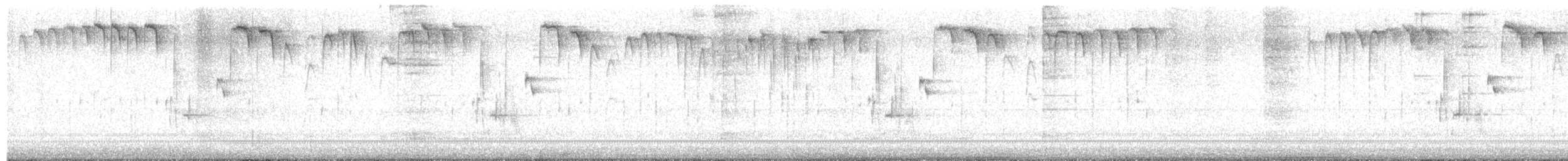 Каролинская гаичка - ML648933795