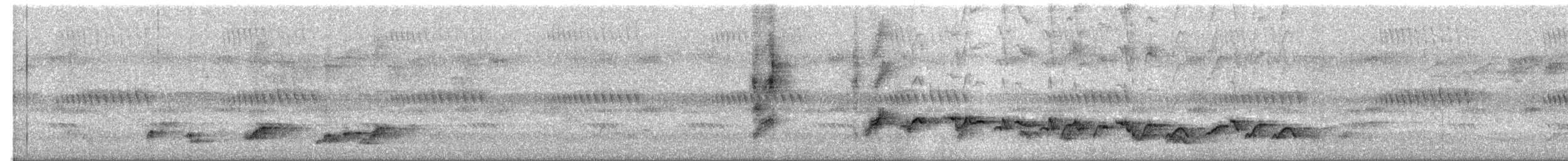 アフリカサンコウチョウ - ML648936188