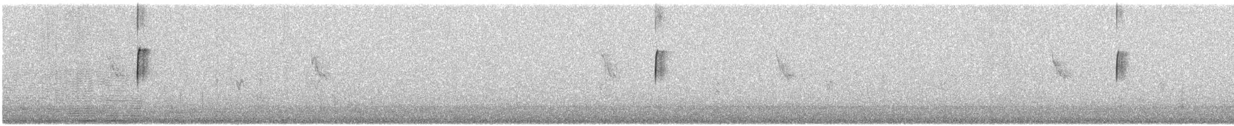 ショウジョウコウカンチョウ - ML648937615