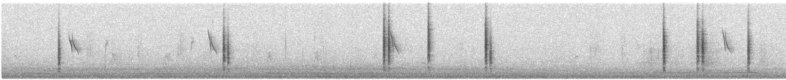 ルビーキクイタダキ - ML648938043