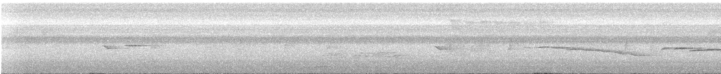 ノドジロミツリンヒタキ - ML648938201