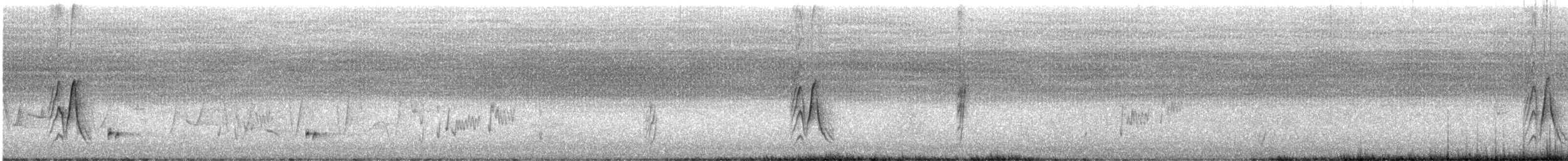 シロハラヒタキ - ML648938413