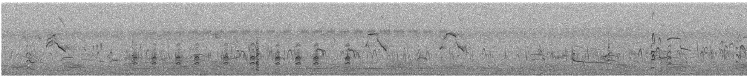 Western Marsh Harrier - ML648943244