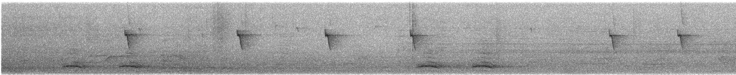 Веерохвостая желтобровка - ML648943425