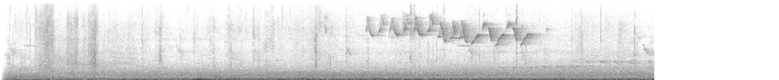 סבכון עקוד - ML648947630