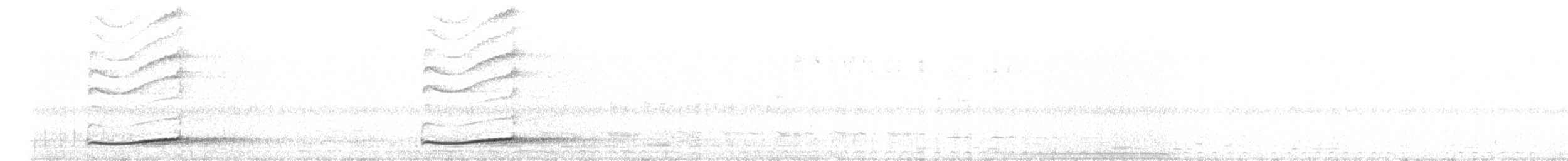 Pacific Koel - ML648949511