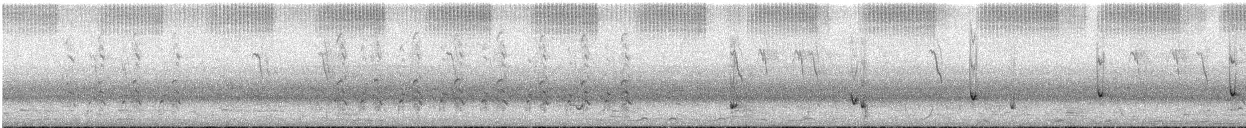 ミサゴ - ML648958947