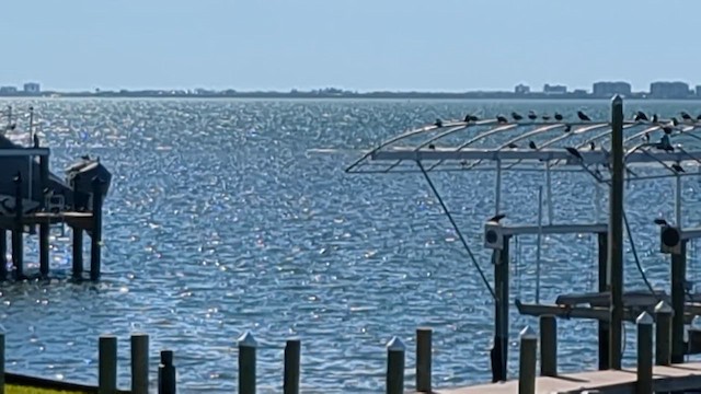 Fish Crow - ML648959462