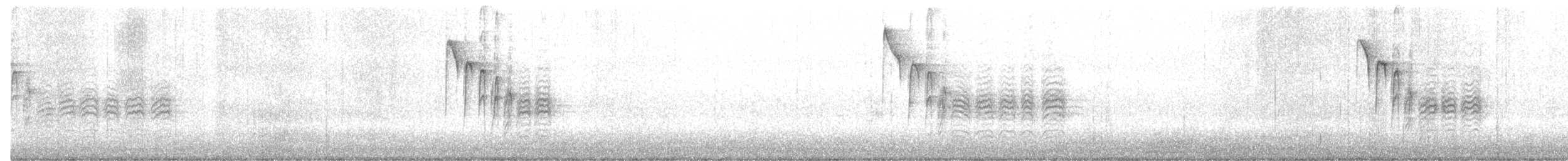 Каролинская гаичка - ML648965517