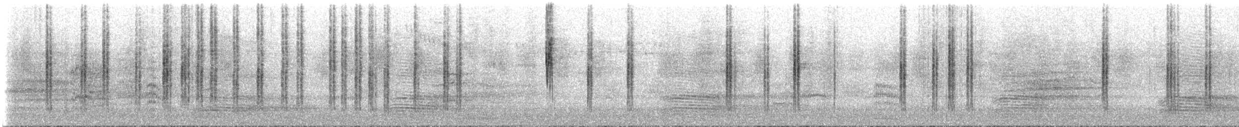 Spotted Scrubwren - ML648968078