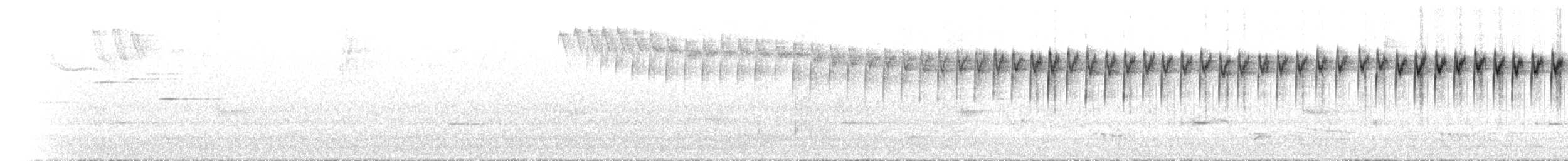 Spotted Scrubwren - ML648970260