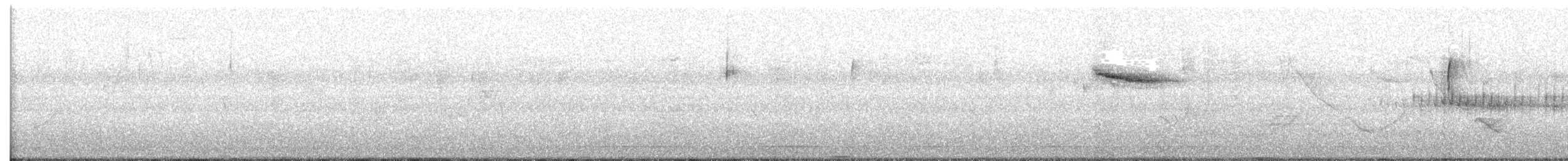 Brown-headed Cowbird - ML648970950