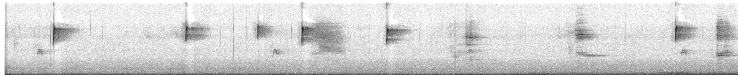 Common Grackle - ML648972415