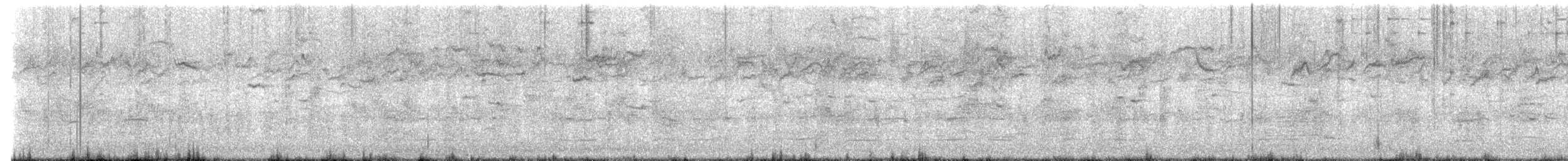 Zanate Común - ML648973731