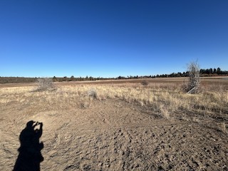 Tumalo Reservoir, Deschutes, Oregon, United States - eBird Hotspot