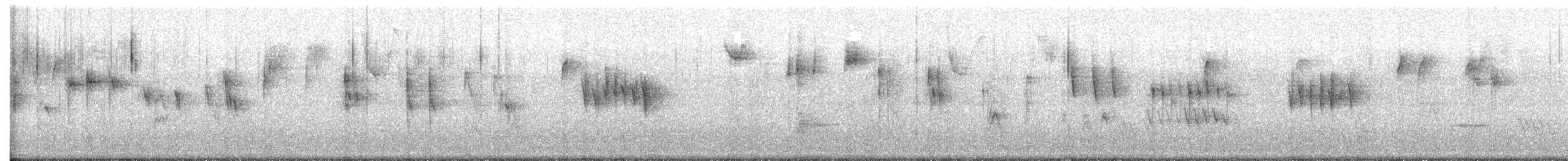 Junco Ojioscuro - ML648974172