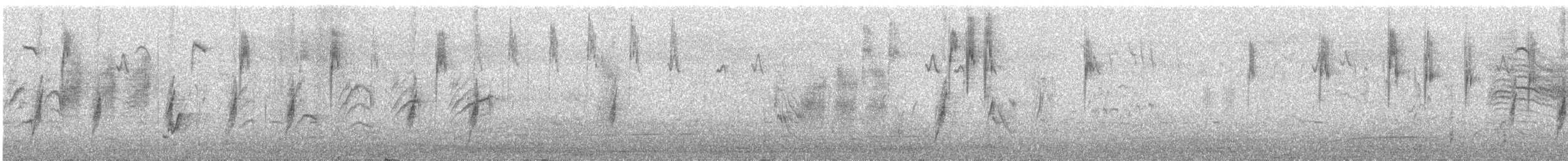 Yerbera Leonada - ML648974291