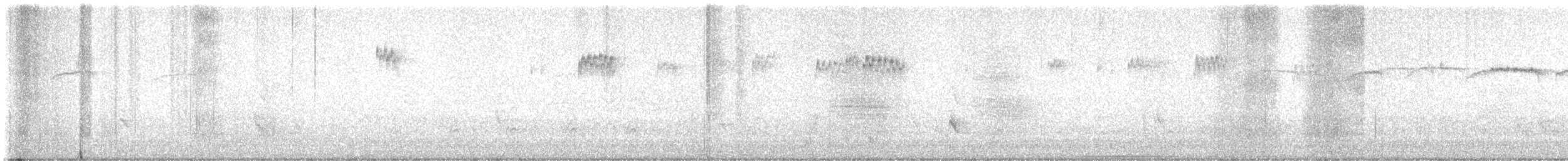 brkoslav americký - ML648974644